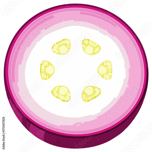 Cross section of a vibrant purple onion revealing concentric rings and inner seeds