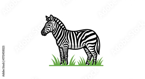 Zebra illustration black and white stripes wildlife animal savanna africa mammal zoo safari nature drawing art 100