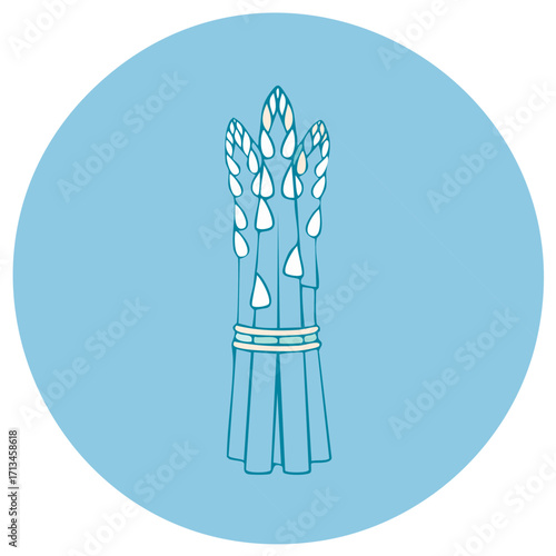 Elegant vector illustration of a fresh asparagus bundle icon on a serene blue background