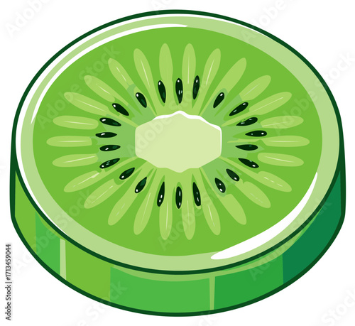 Cross section illustration of kiwi fruit, green, sliced, seeds, nutrition, graphic