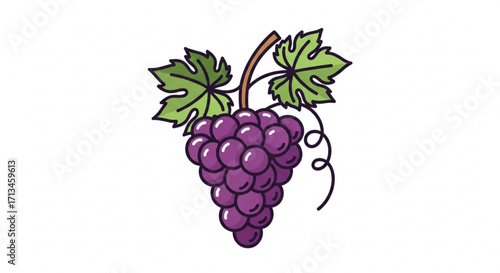 Illustration of fresh grapes with leaves healthy fruit purple grapes vineyard grape harvest design 100 char
