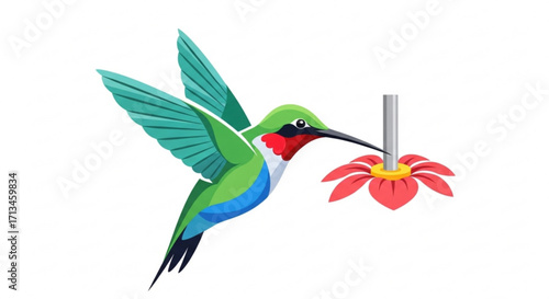 Hummingbird feeding at feeder illustration vector image for birdwatching and nature enthusiasts design 100