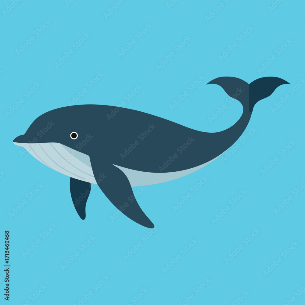 Fototapeta premium vector illustration of a dolphin