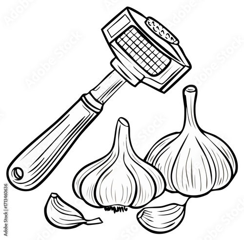 Garlic Press and Garlic Cloves Illustration