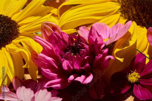 Sunflower, dahlias and cosmos floral background

