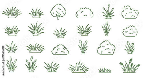 A collection of outline vector icons depicting various types of grass, bushes, and reeds, suitable for graphic design.