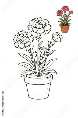 Potted Carnation Flowers Coloring Page Outline.
