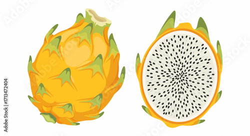 Illustration of a whole and sliced yellow dragon fruit.