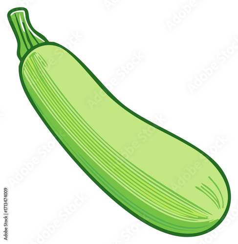 Green zucchini illustration, healthy fresh vegetable, organic plant, food concept