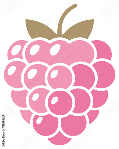 Stylized Raspberry Fruit Illustration in Pink and Brown Colors with Rounded Shapes