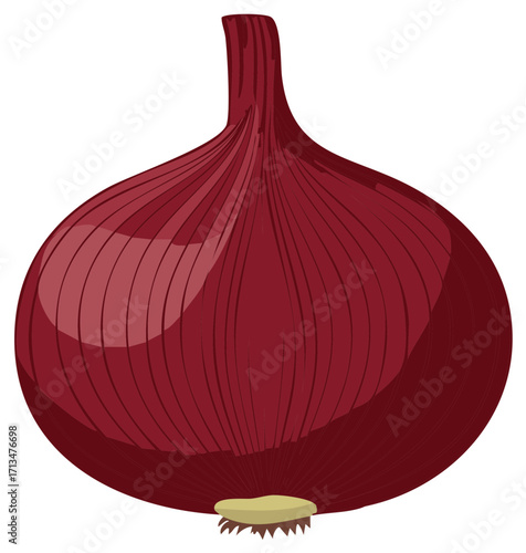 Red Onion Isolated on White Background Vegetable Illustration