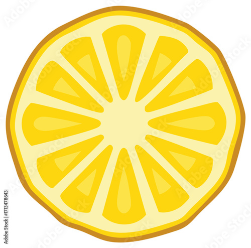 Yellow citrus lemon fruit slice cross section vector illustration icon