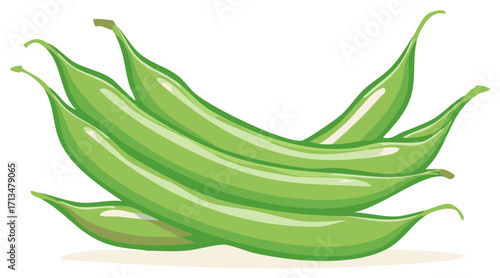 Green beans bunch illustration, healthy fresh vegetable food design.
