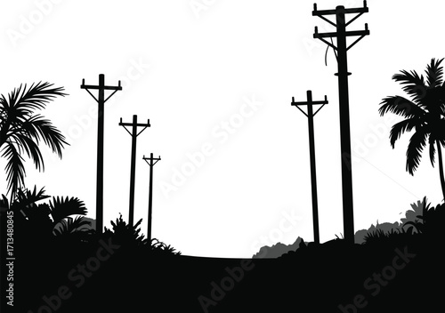 Silhouette, utility poles, power lines, tropical vegetation, palm trees, rural road, coastal landscape, clear sky, perspective view, infrastructure, electricity, countryside, nature, horizon