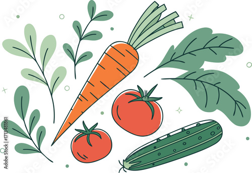Healthy vegetables vector set carrots tomatoes cucumbers flat design