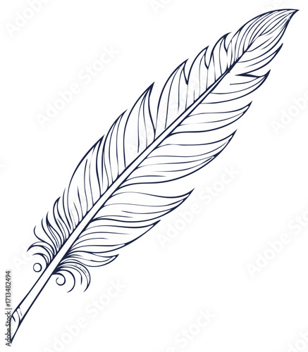 Elegant vintage feather quill pen in a hand drawn line art style