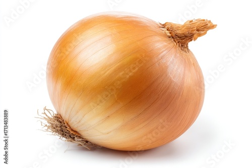 Wallpaper Mural Single, ripe yellow onion on white background Torontodigital.ca