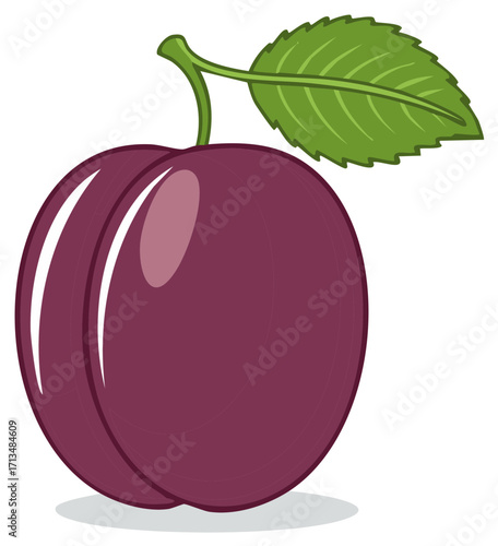 Fresh Ripe Purple Plum Fruit with a Green Leaf Cartoon Vector Illustration