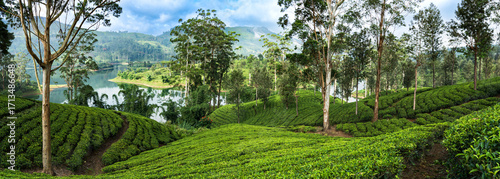 Castlereagh Reservoir, and serrounded tea plantation in hatton, Sri Lanka