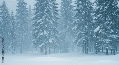 snow covered trees