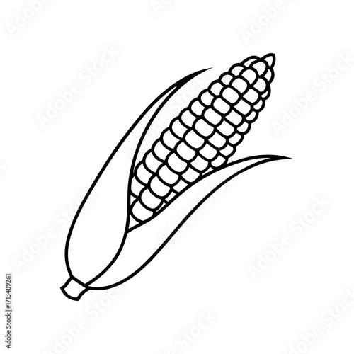 Outline drawing of a corn cob with husk on transparent background