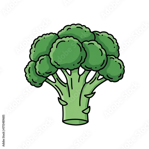 Fresh Green Broccoli Florette Vector Illustration, Vibrant and Detailed Isolated PNG Transparent Clip Art for Healthy Eating Concepts, Culinary Designs, and Nutritious Food Graphics
