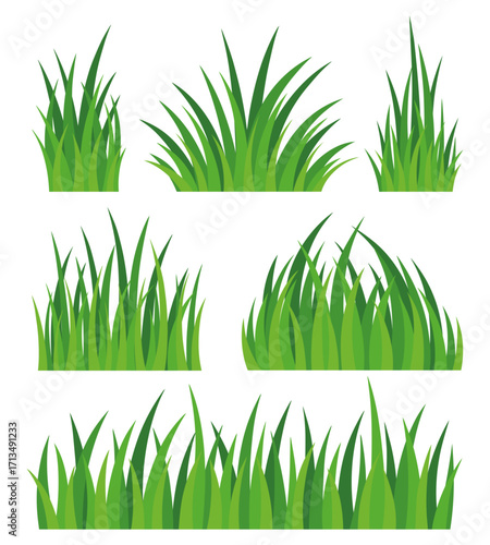 Set of green grass 
