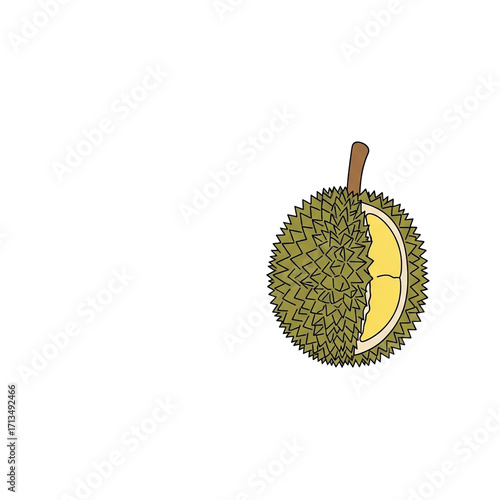 A simple line art drawing of a spiky durian fruit, cut open to show its yellow flesh. An isolated tropical fruit for food and health concepts. Vector Illustration, PNG Transparent