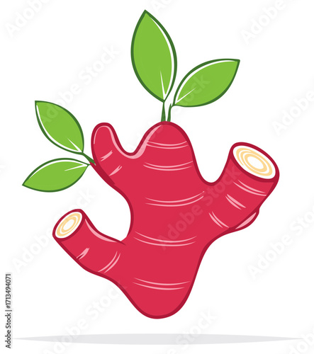 Vibrant Red Ginger Root with Green Leaves Growing Healthy and Fresh