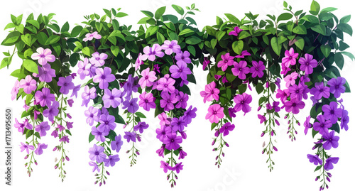 Purple and pink flower. Bright hanging floral arrangement design. Cascading flowers with vibrant hues. Floral bouquet with colorful cascading blooms. Fresh flowers in decorative hanging baskets