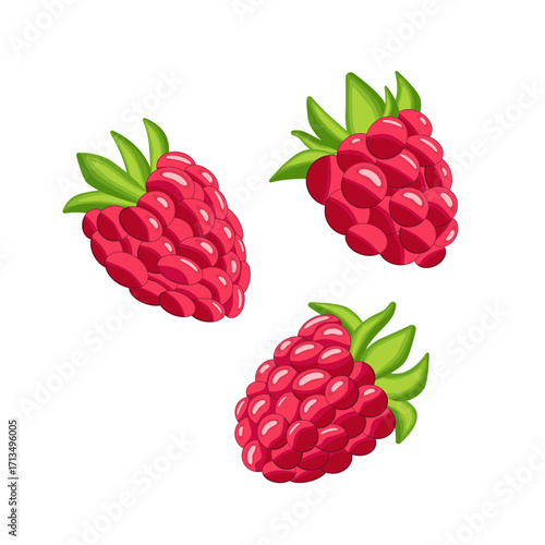 A red raspberry with a green leaf on top. The raspberry is shown in a cartoon style. The image is of a close up of a raspberry