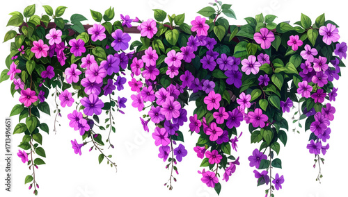 Hanging flower cluster in vivid purple tones. Purple flower vine cascading decor. Colorful floral hanging arrangement. Purple blossoms in elegant hanging baskets. Decorative hanging flowers for garden