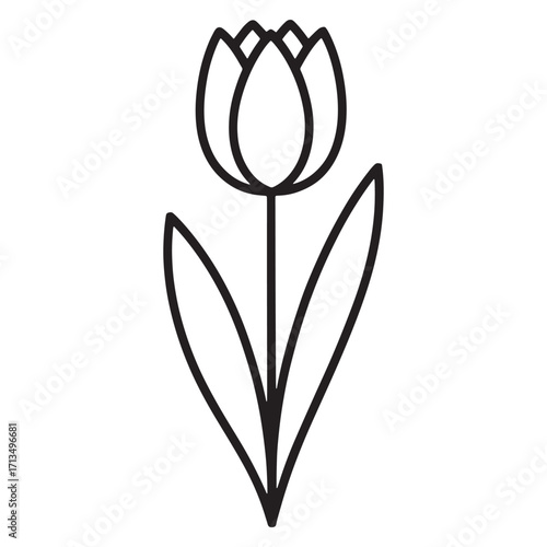 Elegant Tulip Flower Illustration Simple Black Outline Drawing of a Single Tulip with Leaves and Petals for Floral Designs