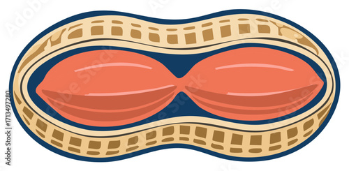 Stylized vector illustration of a peanut cut in half showing the kernels