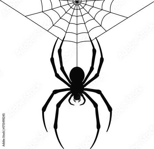Black spider web vector silhouette arachnid insect