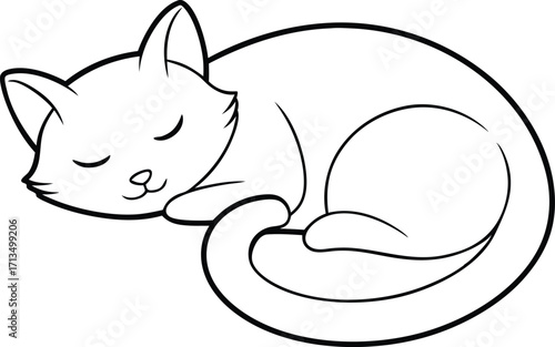 Sleeping Kitten Line Art Illustration - Vector Design
