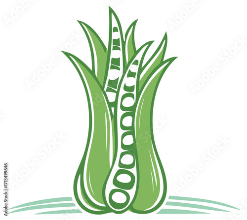 Stylized green peas and leaves, organic food illustration, design element.