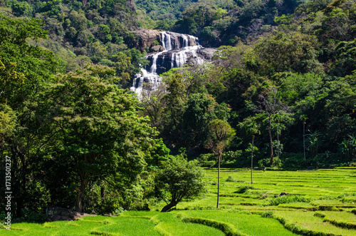 Rathna Ella, at 111 feet, is the 10th highest waterfall in Sri Lanka, situated in Kandy District. The main occupation of the villagers in Rathna Ella is paddy cultivation