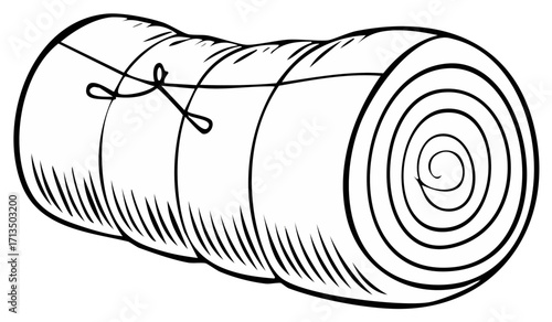 Rolled sleeping bag with tie strap for outdoor camping and hiking