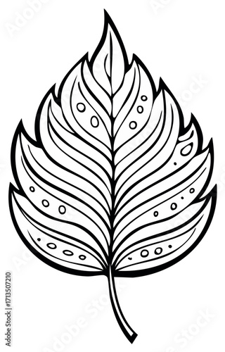 Stylized Leaf Illustration Black and White Detailed Veins and Circular Dots Nature Pattern
