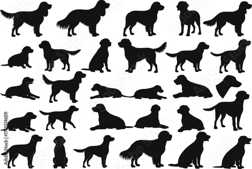 Dog silhouette collection, black vector illustration, various poses and stances, sitting, walking, lying down, retriever style, pet icon set, canine design