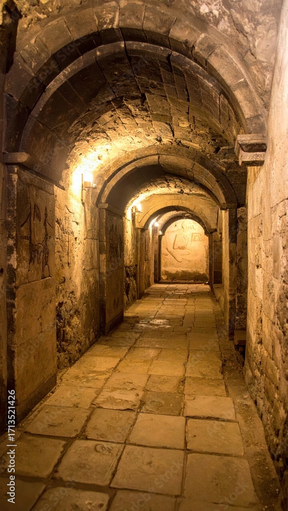 Fototapeta premium Mysterious Underground Passage with Arched Ceilings and Stone Walls