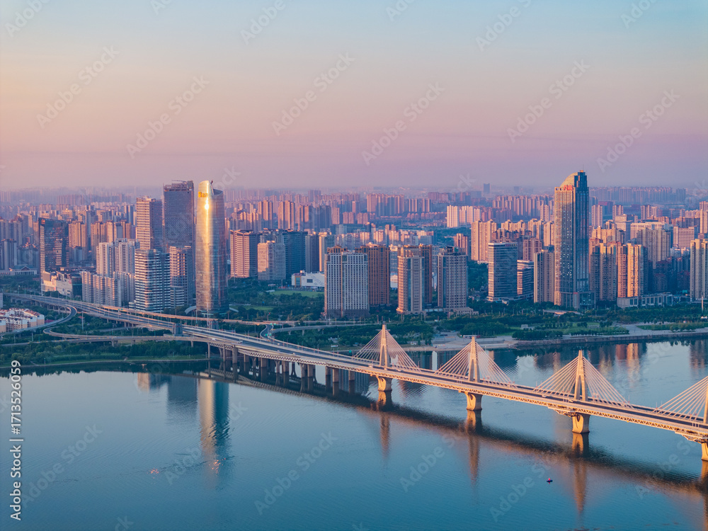 Obraz premium Cable-stayed bridge across the river in Shanghai, China
