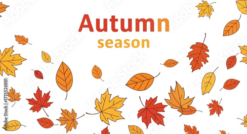 Autumn season with colorful leaves falling vector illustration design for banner 