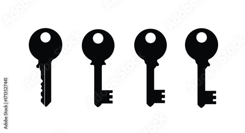 Four silhouette keys representing security access and different levels of protection options vector