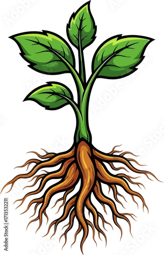 natures tenacious grip a seedlings determined roots, isolated on transparent background