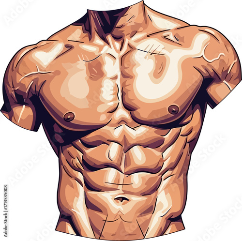 the sculpted male torso a study in strength and form, isolated on transparent background
