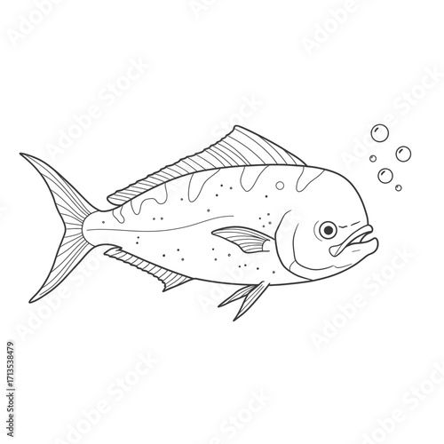 Detailed Outline Sketch of a Mahi-Mahi Fish with MahiMahi-Coryphaena hippurus. Bubbles Isolated on White Background, Ocean Wildlife Line Art Drawing

