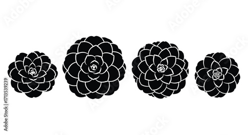 Four detailed black stylized succulent plants arranged in a row isolated on white vector