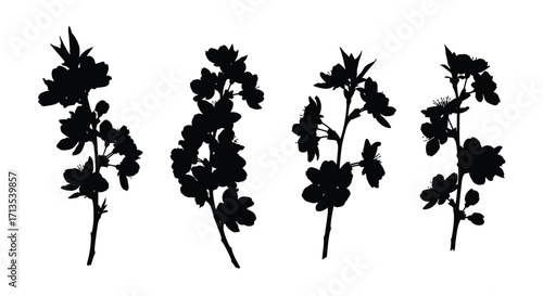 Four silhouette branches with delicate blossoms and leaves botanical artistic elements vector